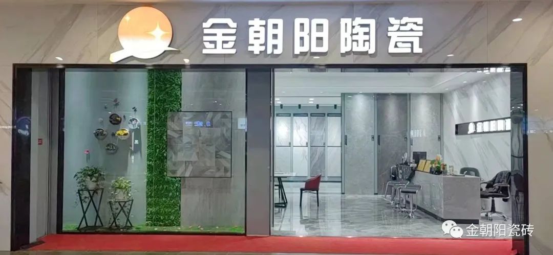 金朝阳1.jpg